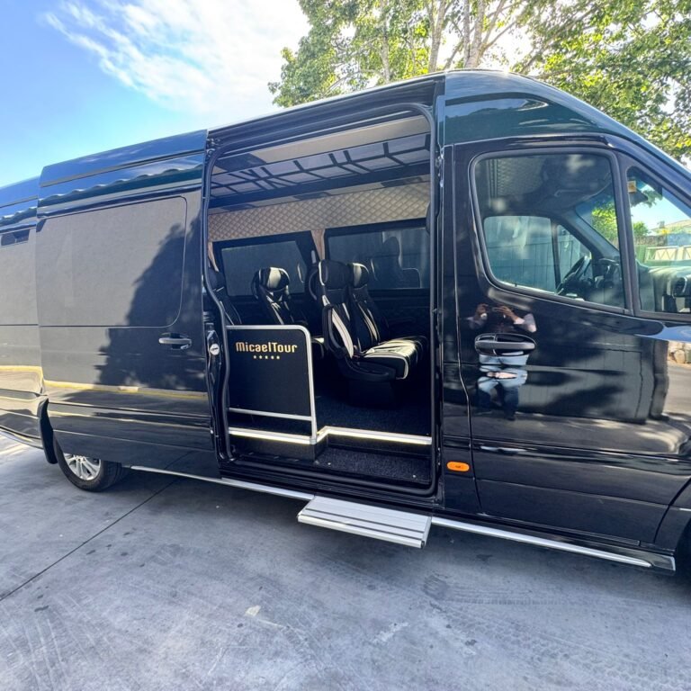 Sprinter 319 9 Lugares