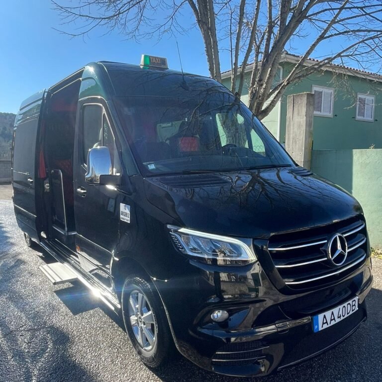 Sprinter 319 9 Lugares