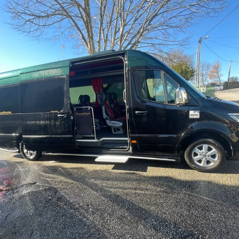 Sprinter 319 9 Lugares