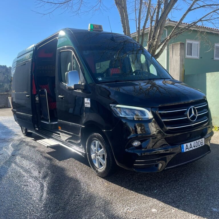 Sprinter 319 9 Lugares