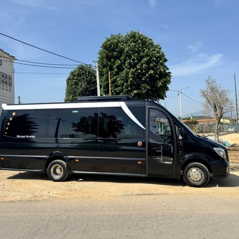 Minibus Sprinter 15ss