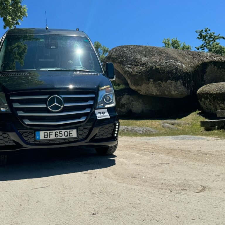 Minibus Sprinter 15ss