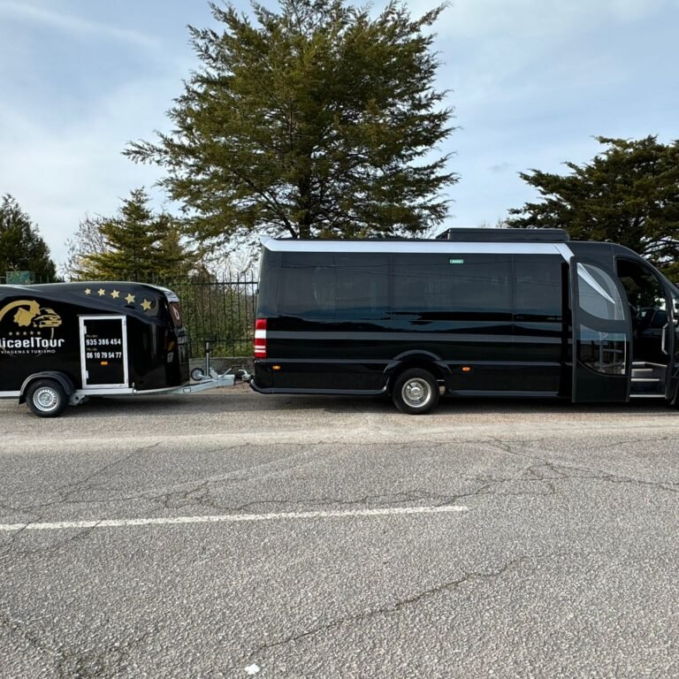 Minibus Sprinter 15ss