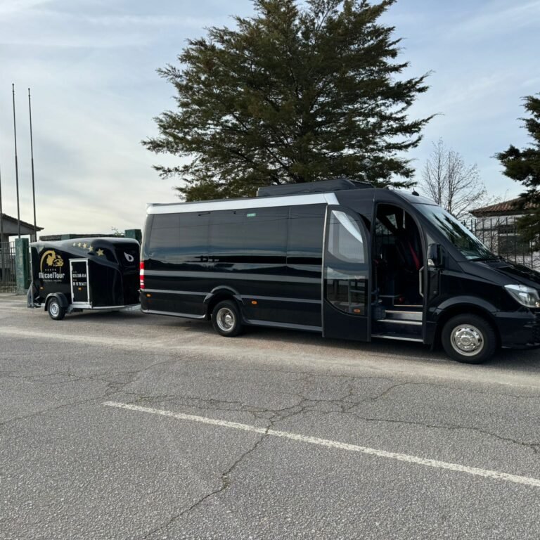 Minibus Sprinter 15ss