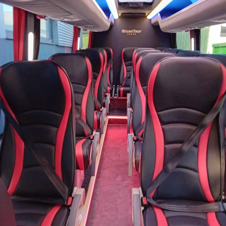 Minibus Sprinter 15ss