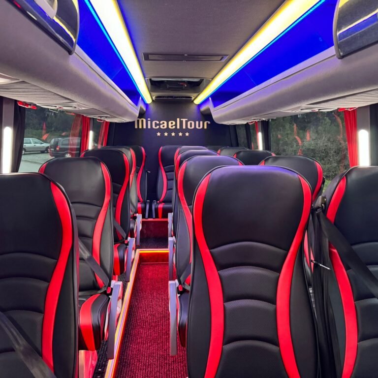 Minibus Sprinter 15ss