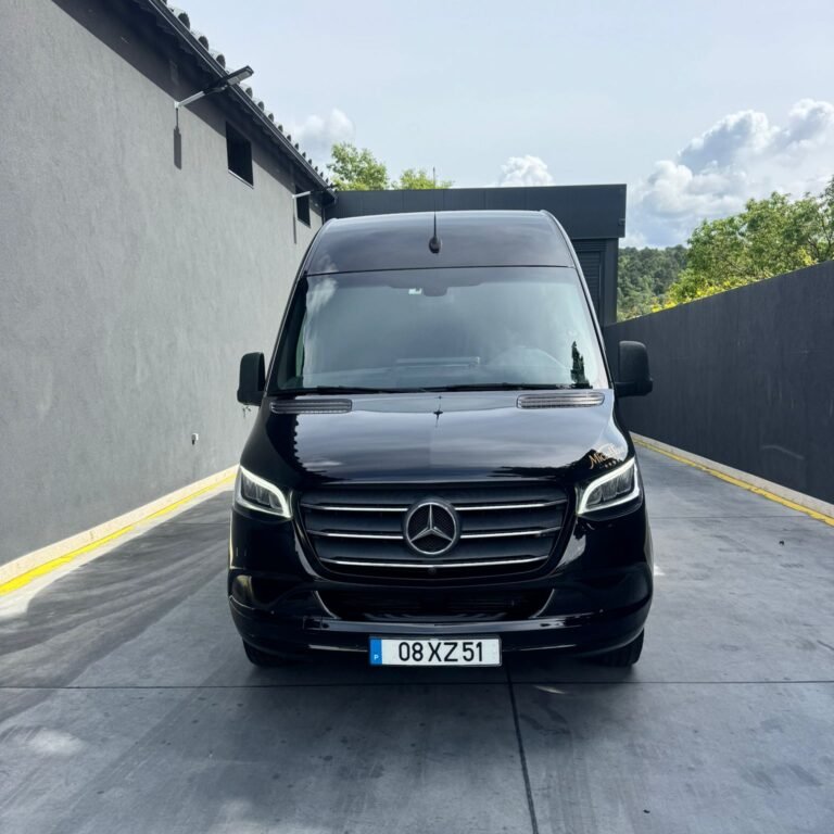sprinter 316 (1)