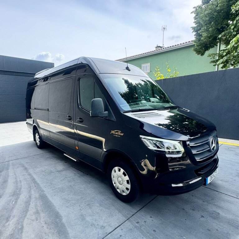 sprinter 316 (10)
