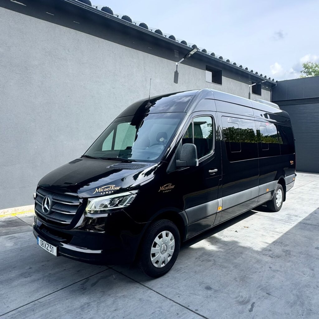 sprinter 316 (11)