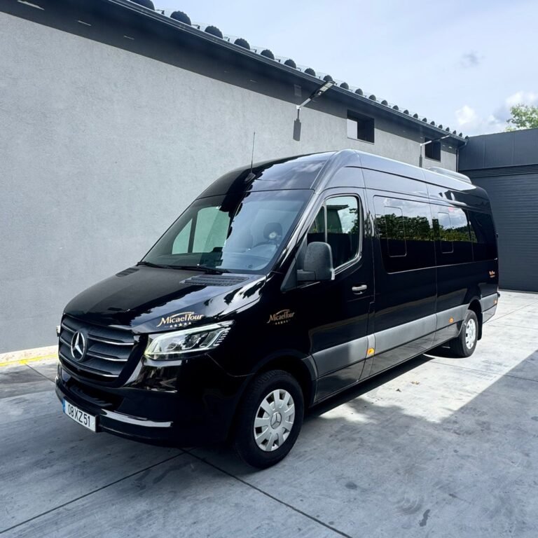 sprinter 316 (11)