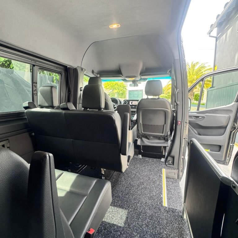 sprinter 316 (2)