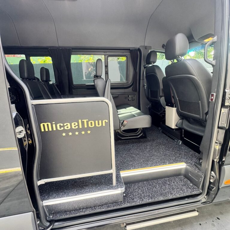 sprinter 316 (3)
