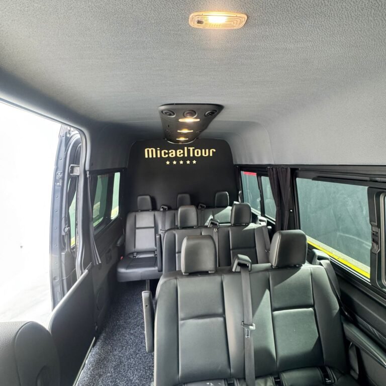 sprinter 316 (4)