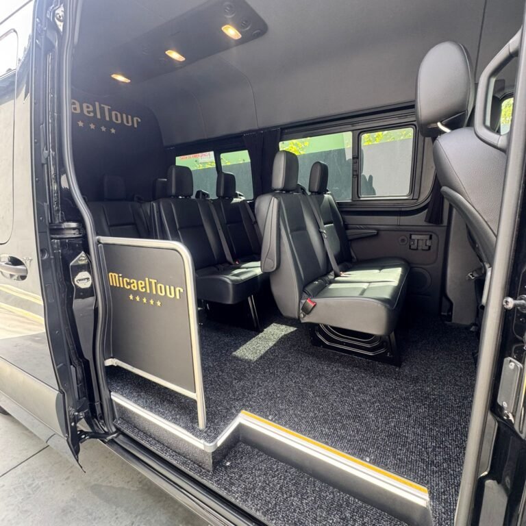 sprinter 316 (7)