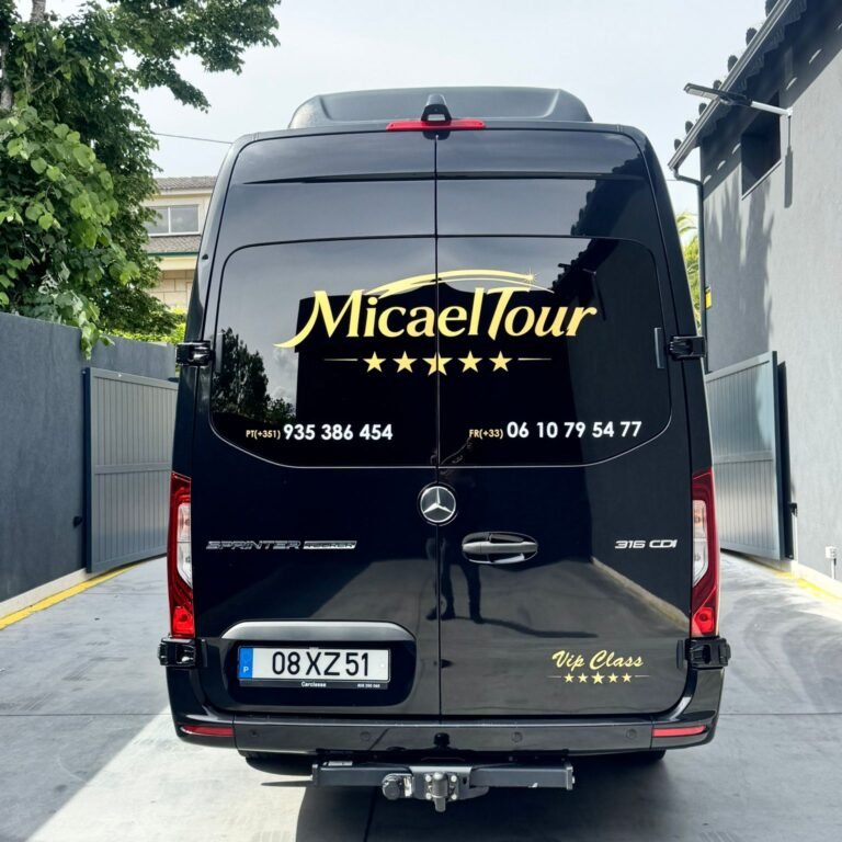 sprinter 316 (9)